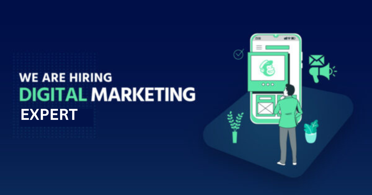 Senior Digital Marketing Expert
